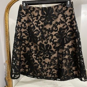 Lace Ann Taylor Skirt- Beautiful!!!